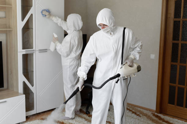 24/7 Emergency Sewage Cleanup experts in Farmington, IL